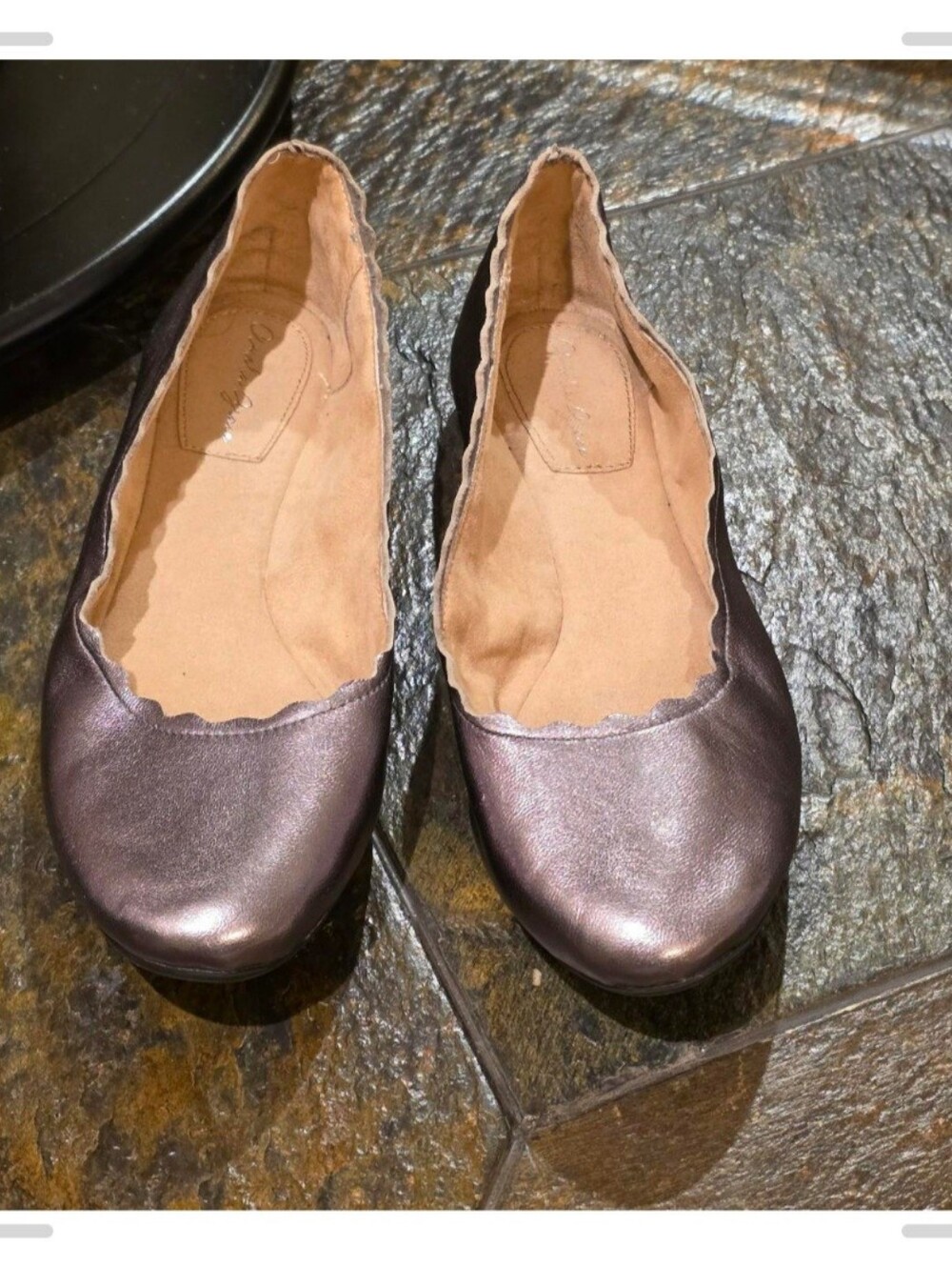 Amelia Grace • Wynne • Stone Bronze Scalloped Ballet Flats - Sz 8.5M